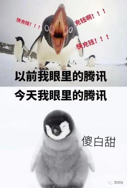 娱乐吃瓜酱自由男女平等