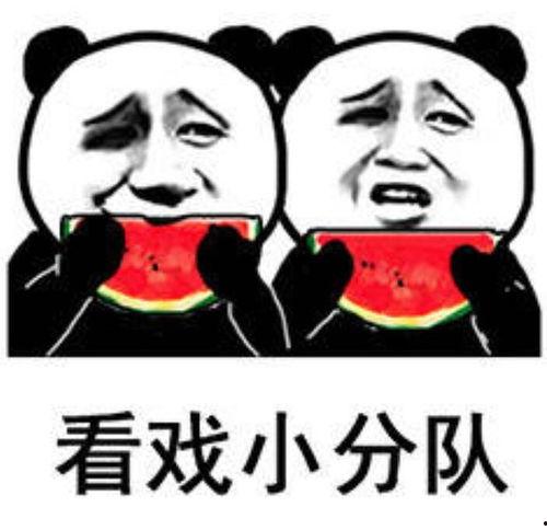 娱乐吃瓜群头像图片高清,趣味横生的视觉盛宴